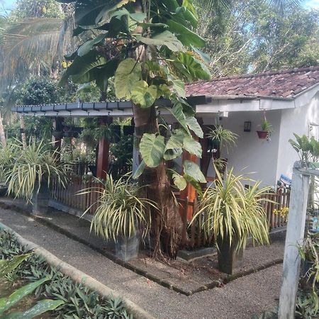Lovers Green Villa Matara Ngoại thất bức ảnh