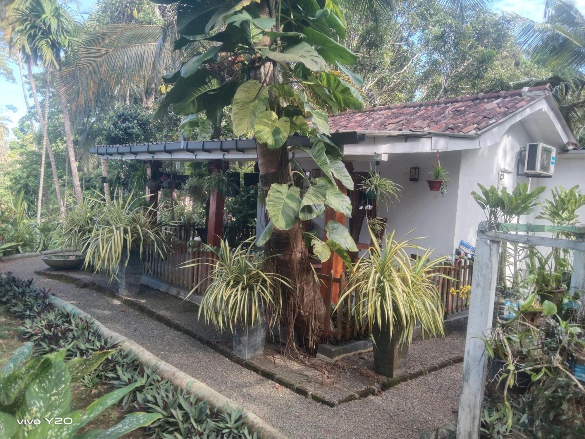 Lovers Green Villa Matara Ngoại thất bức ảnh